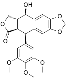 Podophyllotoxin – składnik Condyline